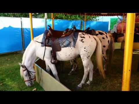 Rodenkircher Markt 2014 - Freitag der 19.09. - Bilder - Rodenkirchen