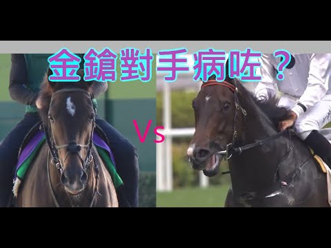 【賽馬知多D】放聲歡呼 做手術😮何為EE毛病？ Gran Alegria had an EE surgery