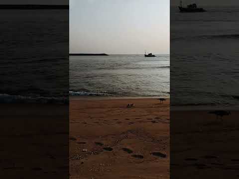 Pre-Monsoon Fishing|Inspired by Indrajit Khambe sir|All Shots on Redmi Note 8 Pro| Visuals| Beach