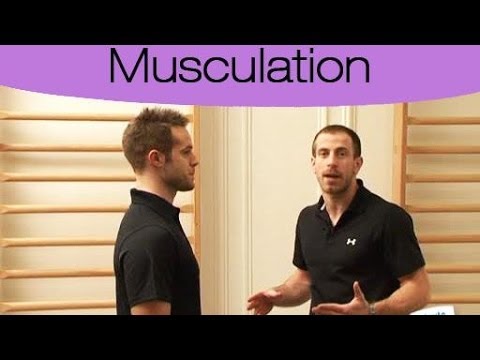 comment augmenter biberons