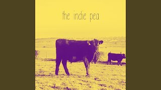 The Indie Pea - Love Growing Pains video