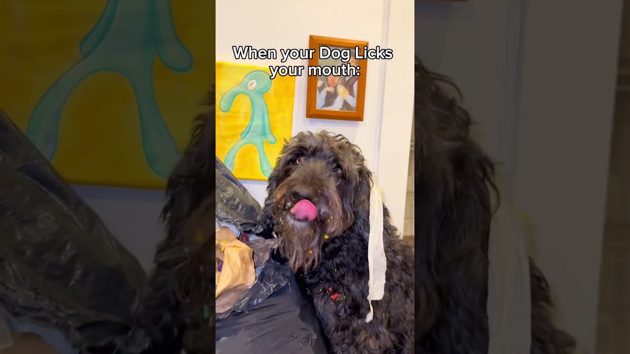 He Ate 💩 Before This #gross #animals #cute #dog #funny