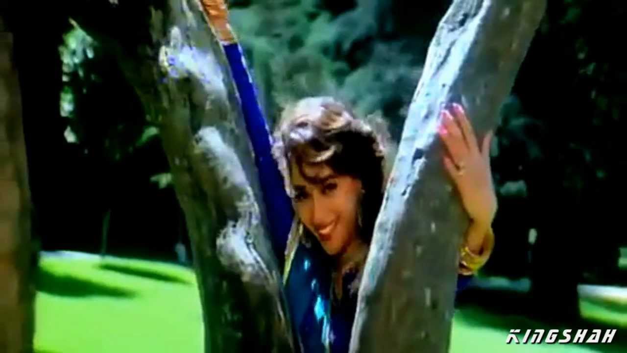 Mera Dil Tera Aashiq Tu Hai Sanam Lyrics | Dil Tera Aashiq | Kumar Sanu, Alka Yagnik | Nadeem Shravan