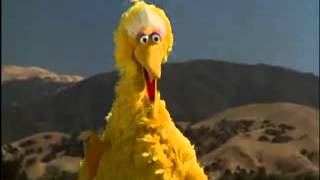 Big Bird Cameo