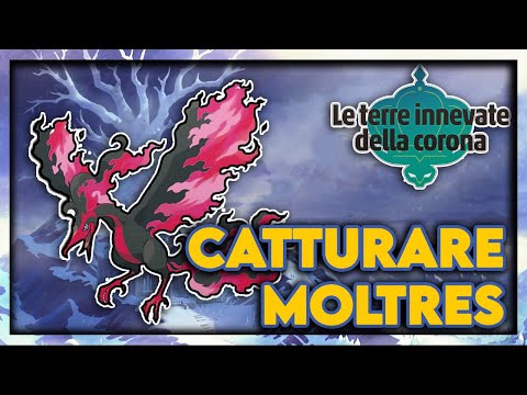 COME CATTURARE SU MOLTRES FORMA GALAR POKEMON SPADA E SCUDO TERRE INNEVATE DELLA CORONA DLC
