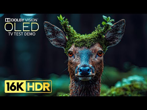 Amazing OLED TEST Demo | 16K Video ULTRA HD 120 fps | Dolby Vision
