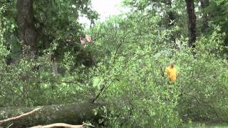 Strom X news Jasper,AL video