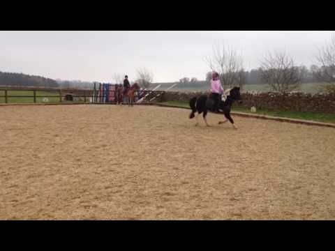 Holly jumping zazoom 2