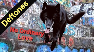 Deftones - No Ordinary Love (Sade Cover) w/Lyrics