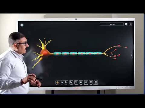 PowerBrave Active Minds AI Writing Boards - Advanced Features (Session 10)