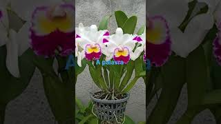 3 de dezembro de 2025