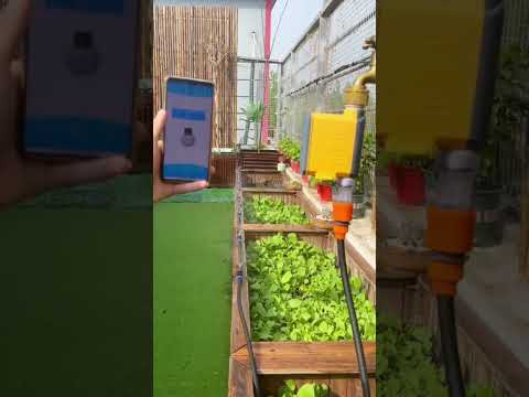 屋外シャワーに関する 6 つの感動的な温かいアイデア: 庭やプールに欠かせないもの  庭園