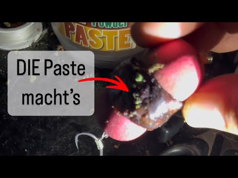 Diese Power Paste fängt sie alle. Karpfen lieben die LPP. Proteine im Überfluss.