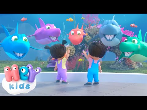 Bébé Requin !  | Chansons pour Enfants | HeyKids Français | animaux pour enfants
