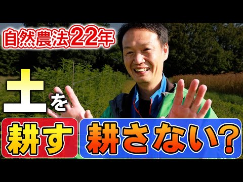 庭を耕したほうがいいでしょうか？耕さずに土地を耕すことはできますか?全てをお伝えします！  庭園