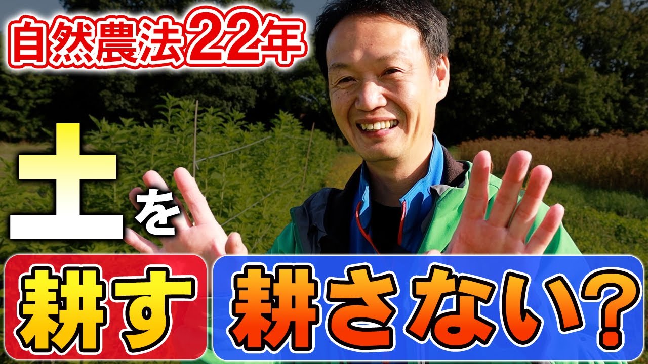 自然栽培の土は耕す?耕さない?