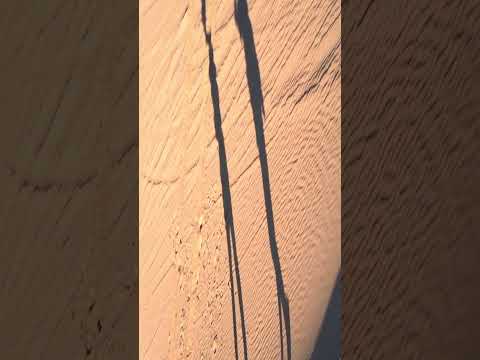 Александр Коротко, Look , CREATOR