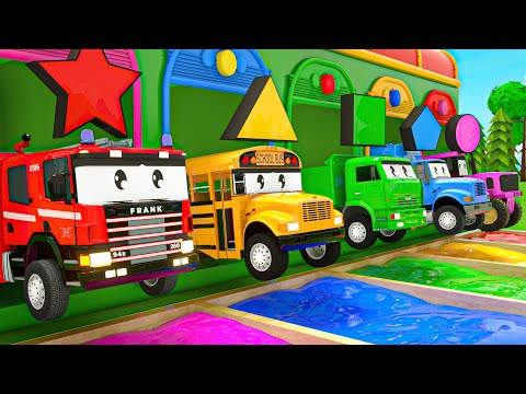 Baby Shark + Wheels On the Bus + Bingo song - Study the forms - Baby Nursery Rhymes & Kids Songs