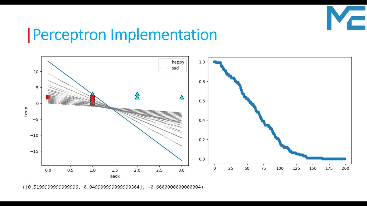 Lecture 59: Perceptron Algorithm Implementation