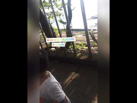 Sea view beachlek evening trip