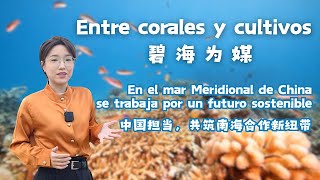 Entre corales y cultivos, en el mar Meridional de China se trabaja por un futuro sostenible