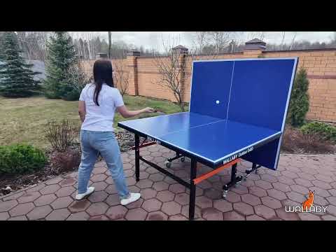 Обзор - Теннисный стол WALLABY OUTDOOR S400 Blue
