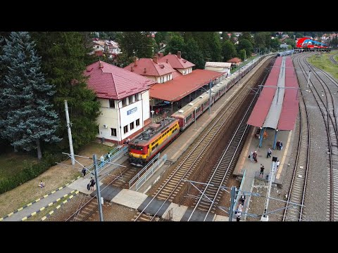 Automotoare & Trenuri ale Operatorului Privat Regio Calatori in Gara Busteni - 06 Septembrie 2024🚂🚅🗻