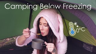 Freezing Solo Camping in the Woods