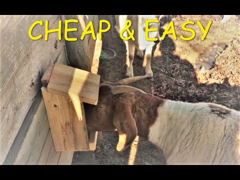 , title : 'How To Make A Home Made Goat Mineral Feeder'