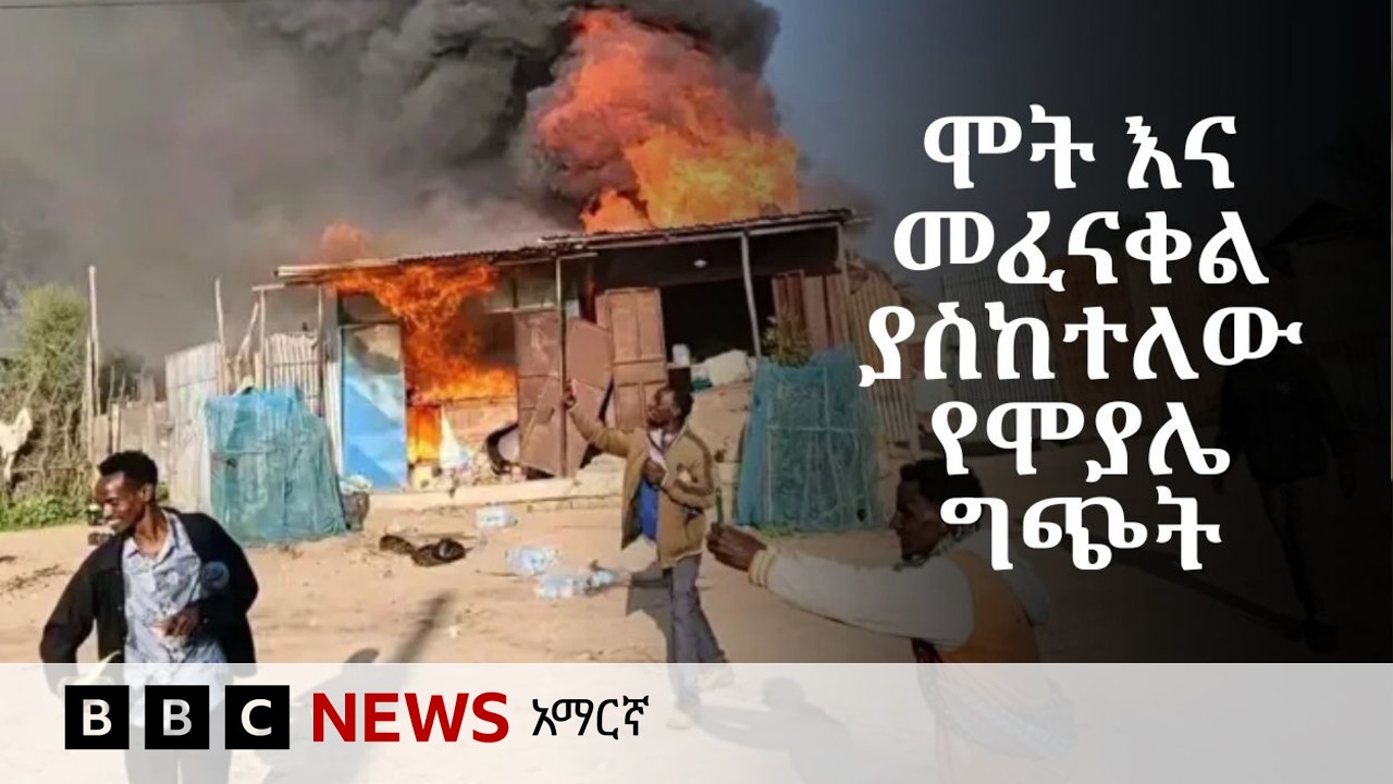 የሞያሌው ግጭት ምክንያቱ ምንድን ነው? | BBC News አማርኛ