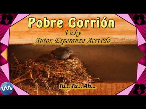 Pobre Gorrión - Vicky (Letra)
