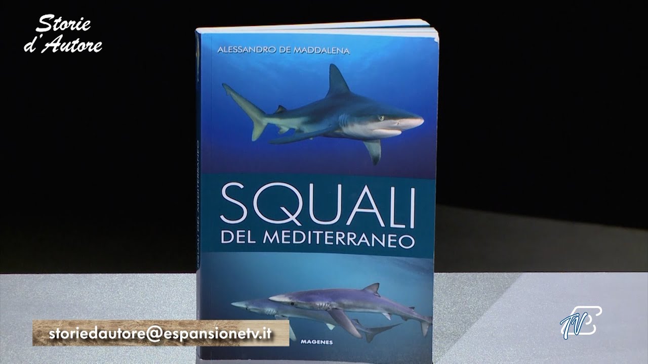 Settima Puntata – Storie d’autore – 29 Novembre 2025