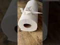 EPIC ORIGSMI DRAGON FROM PAPER TOWEL TUTORIAL DIY ORIGAMI DRAGON FROM PAPER TOWEL NEXT LEVEL ART