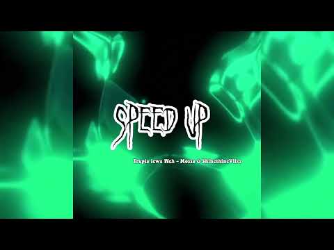 Trupla lewa Weh - Mossa & ShinethineViixz ( speed up )