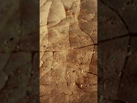 The Deadliest Earthquake Ever Recorded: 830,000 Lives Lost in China (1556