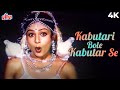 Kabutari Bole Kabutar Se 4K Suraj 1997 Mithun Ayesha Jhulka Udit Narayan 90 S Old Hindi Songs