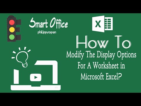 How to Modify The Display Options For A Worksheet in Microsoft Excel?