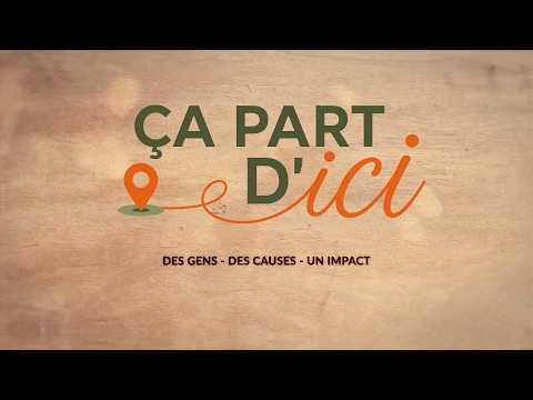 Le Pilier d'Amos
