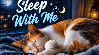 Sleep with Cat💤😹 Purring for Can'tSleep 😴💤| 10 Minutes Relaxation |NiceSleep😹💤💤