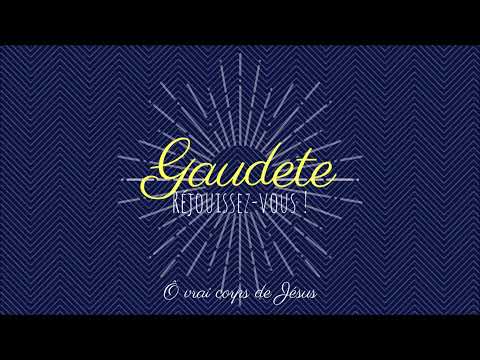 Ô Vrai corps de Jésus - Tanguy Dionis du Séjour