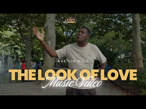 The Look of Love (Official Music Video)