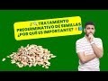 🌿🔍 tratamiento pregerminativo de semillas ¿por qué es importante 🌟📘🔥