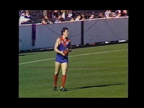 1986 VFL - Melbourne v Geelong - Round 19 - MCG
