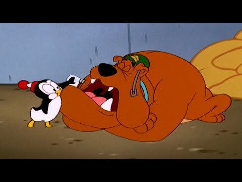 Capa de Picolino, o pinguim corajoso | 2 Episódios Completos | Pica-Pau | Desenhos Animados em Português