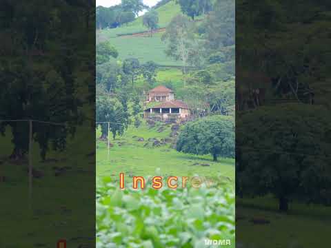 Mogi Guaçu SP