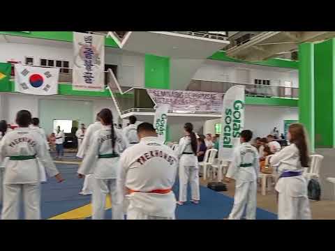 Taekwondo indiara-goias, seminário de poomsae 2026 da liga nacional e FECOT. 
