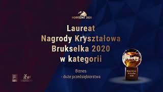 Kryształowa Brukselka 2020 w kategorii Biznes – Duże przedsiębiorstwa