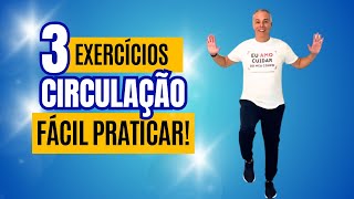 3 EXERCÍCIOS EXCELENTES PARA CIRCULAÇÃO E COORDENAÇÃO | Exercício Idosos