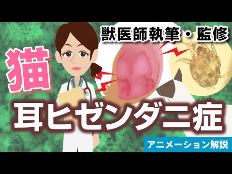 猫の耳疥癬