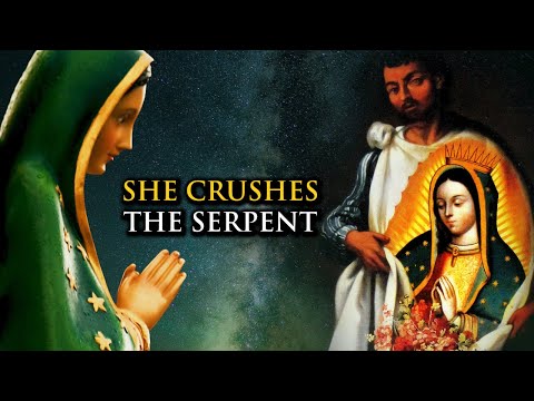 8 Million Converts in 7 Years - Our Lady of Guadalupe